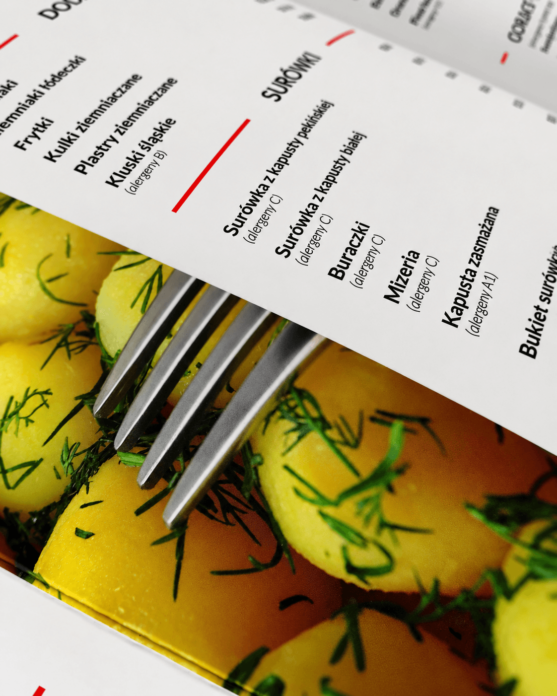 Detal składu menu Restauracji Lema – nazwy dań i ceny
